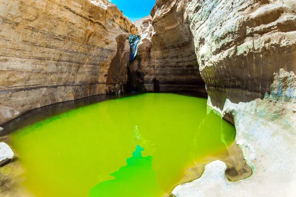 Picturesque Waterfall Middle Negev Desert Greenish Mirror Water Small Lake — Stock Photo, Image