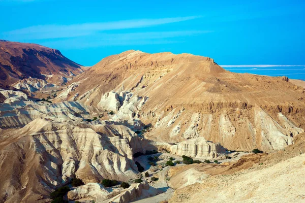 Wspaniałym Wąwozem Ein Avdat Jest Pustynia Negev Widok Góry Koncepcja — Zdjęcie stockowe