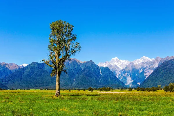 Mount Cook Mount Tasman Magnificent Journey Distant Lands Most Picturesque — Stock Photo, Image