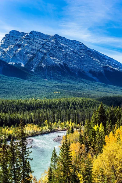 美丽的秋天风景 加拿大落基山脉的人造亚伯拉罕湖 白桦树和白杨树的黄叶反映在平静的湖水中 生态和摄影旅游的概念 — 图库照片