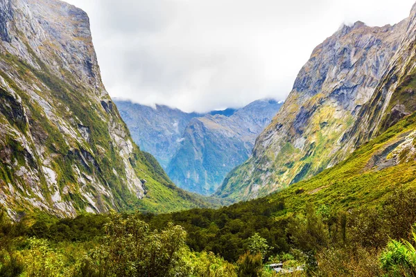 Road Milford Sound Классический Морской Фьорд Ледникового Происхождения Величественные Крутые — стоковое фото