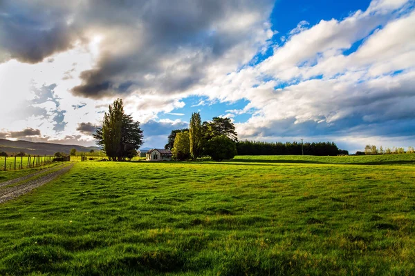 Southern Scenic Route South Island New Zealand Green Fields Surrounded — Stock Photo, Image