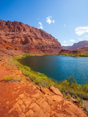 Muhteşem Colorado Nehri 'nin pürüzsüz dönüşü. Kırmızı kumtaşından dik nehir kıyıları. Lee 'nin Feribotu tarihi bir feribot. İnanılmaz vahşi yaşam. ABD. Aktif, aşırı ve fotoğraf turizmi kavramı