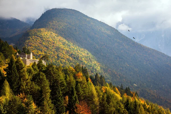 Golden Autumn Slovenia Magnificent Julian Alps Mountains Covered Dense Coniferous — Stock Photo, Image