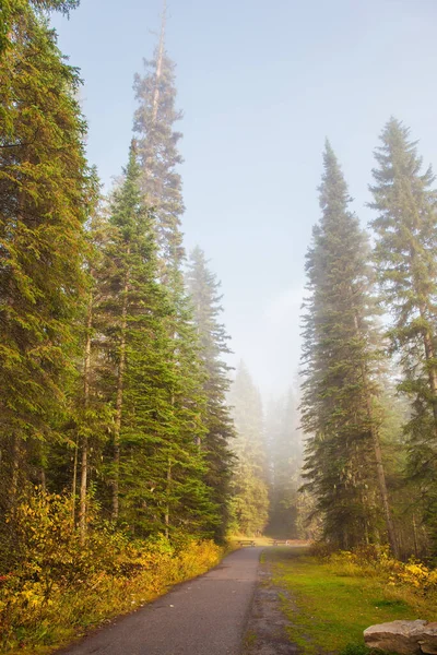 Dimineața Încețoșată Plimbă Lungul Țărmurilor Lacului Emerald Stâncile Canadiene Din — Fotografie, imagine de stoc