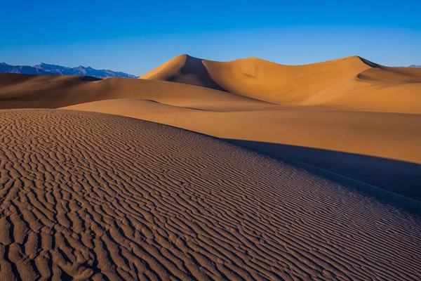 非常に平らな砂が行われます バレーの砂丘 アメリカだ 朝の光は柔らかい砂の丘を照らす 魔法の砂漠の朝 砂は光の波の中にある アクティブと写真観光の概念 — ストック写真