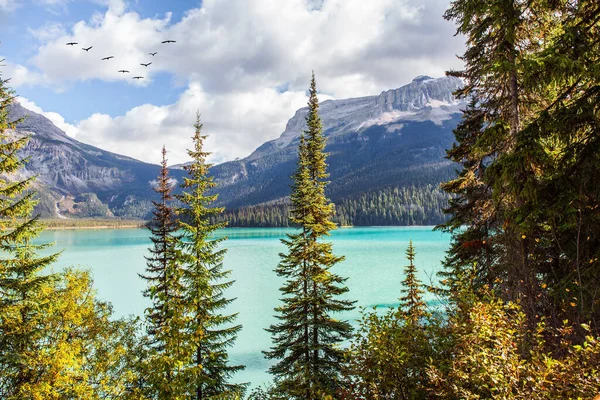 空を飛ぶ渡り鳥の群れ 風光明媚な豪華なエメラルド湖 カナダのロッキー山脈 山のピークは 紺碧の水で湖を囲む — ストック写真