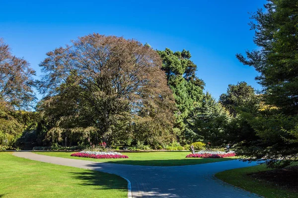 Christchurch Malowniczy Ogród Botaniczny Podróż Nowej Zelandii Wspaniała Bogata Kolekcja — Zdjęcie stockowe