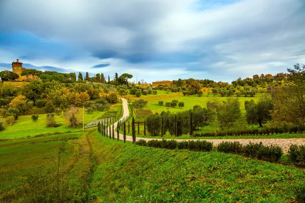 Landelijk Toerisme Gezellige Pittoreske Boerderijen Heuvels Van Toscane Olijfbomen Groene — Stockfoto