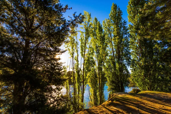 Begreppet Aktiv Ekologisk Och Fototurism Skogsfloden Med Blått Kallt Vatten — Stockfoto