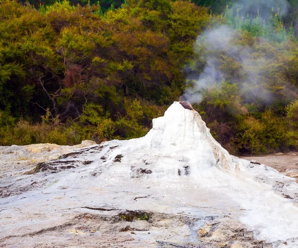 Mundialmente Famoso Géiser Lady Knox Comienzo Una Erupción Diaria Vapor — Foto de Stock