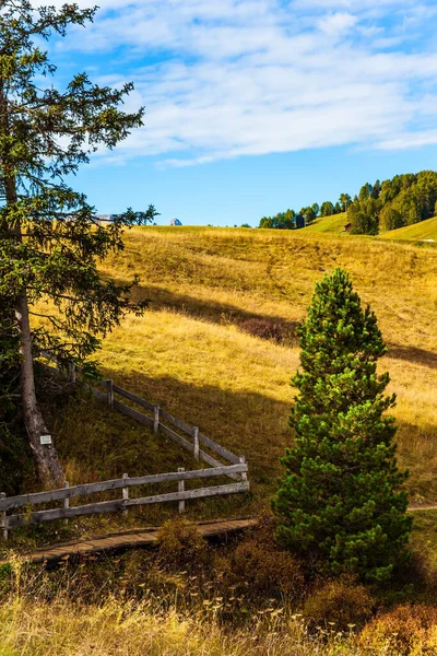 Alpe Siusi Talya Nın Dolomitler Şehrinde Büyüleyici Bir Platodur Yürüyüş — Stok fotoğraf