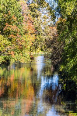 Nehir boyunca karanlık bir ara sokak var. Suda çok renkli sonbahar yaprakları yansıdı. Yeni Zelanda 'ya, Güney Adası' na git. Christchurch Sahnesi Botanik Bahçesi. Ekolojik ve fotoğraf turizmi kavramı