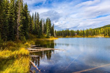 Pürüzsüz su bulutlu gökyüzünü yansıtır. Kanada 'nın Rocky Dağları. Orman ve sarı sonbahar otlarıyla çevrili sessiz sığ bir göl. Ekolojik, aktif ve fotoğraf turizmi kavramı
