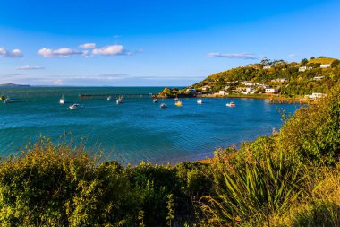 Gün batımında kar beyazı manzaralı yatlar. Pasifik Körfezi. Yeni Zelanda 'nın görkemli ve soğuk güzelliği. Güney adası. Caitlins Olay Yeri Yolu. Ekolojik ve fotoğraf turizmi kavramı