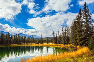 Rocky Dağları, Kanada. Soğuk yeşil suyu olan küçük yuvarlak göl. Kozalaklı orman suya yansıyor. Jasper Park, Hindistan yazı. Seyahat ve fotoğraf turizmi