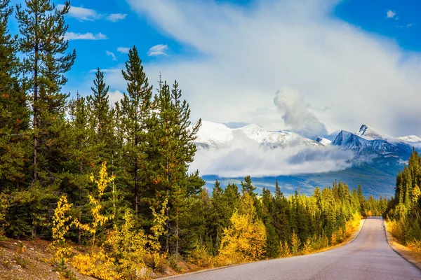 Mavi gökyüzünde yemyeşil kümülüs bulutları. Kanada 'nın Rocky Dağları. Jasper Park 'ta Kızılderili yazı. Kozalaklı ormanların arasında muhteşem bir otoyol. Seyahat ve fotoğraf turizmi