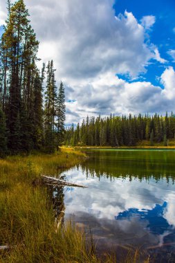 Pürüzsüz su bulutlu gökyüzünü yansıtır. Kanada 'nın Rocky Dağları. Ormanla çevrili sessiz, sığ bir göl. Ekolojik, aktif ve fotoğraf turizmi kavramı