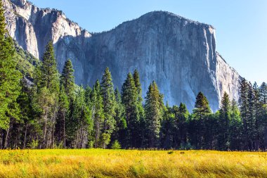Yosemite Ulusal Parkı - California, ABD 'de ünlü, büyük ve pitoresk bir park. Sierra Nevada - Karlı Dağlar. Vahşi doğaya harika bir yolculuk. Meşhur monolitik taş El Capitan. Yosemite Vadisi 'ni saran görkemli dağlar.