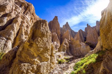 Clay Cliffs. Dar geçitlerle ayrılan sivri uçlu tepeler ve tepeler. Yeni Zelanda, Güney Adası. Görkemli doğal kara oluşumları. Aşırı, doğal ve fotoğraf turizmi kavramı