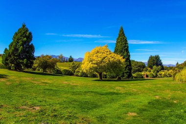 Wanaka Gölü civarındaki resimli tepeler ve yeşil çimenler. Harika, parlak bir yaz günü. Güney Adası, Yeni Zelanda. Etkin, ekolojik ve fotoğraf turizmi kavramı