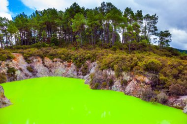 Yeni Zelanda, Kuzey Adası. Parlak yeşil suyu olan Şeytan Hamamı. Volkanik Vadi Waimangu, Wai-O-Tapu. Rotorua 'nın eşsiz jeotermal alanı. Aşırı, egzotik ve fotoğraf turizmi konsepti