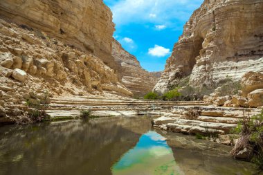 Negev Çölü 'ndeki en güzel kanyon. İsrail. Ein Avdat geçidi Qing Nehri tarafından kurulmuştur. Gökyüzü suya yansıyor. Vadinin duvarları mağaralarla aşınmış.. 
