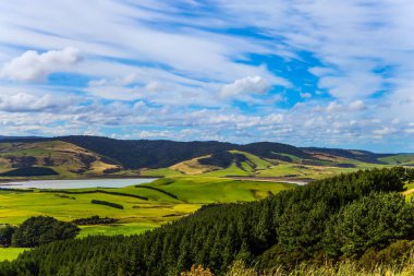 Güney Sahne Yolu. Yeşil alanlar ve ormanlar. İnanılmaz gökyüzü ve yaz günbatımının bulutları. Güney Adası, Yeni Zelanda. Aktif, çevresel ve fotoğraf turizmi kavramı