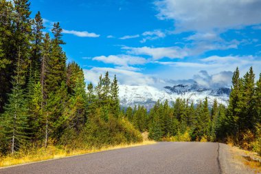  Jasper Park 'ta Kızılderili yazı. Kozalaklı ormanların arasında muhteşem bir otoyol. Mavi gökyüzünde yemyeşil kümülüs bulutları. Kanada 'nın Rocky Dağları. Edith Dağı Cavell Yolu