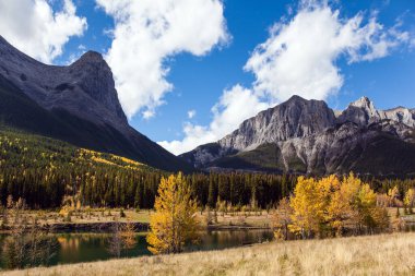 Parlak sonbahar ormanı gölün suyuna yansıyor. Banff Park 'taki Üç Kız Kardeş Dağı. Kenmore 'un varoşlarında. Aktif, ekolojik ve fotoğraf turizmi kavramı