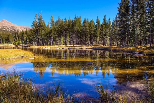 Estados Unidos Tioga Road Pass Yosemite Park Bosque Montaña Reflejan —  Fotos de Stock