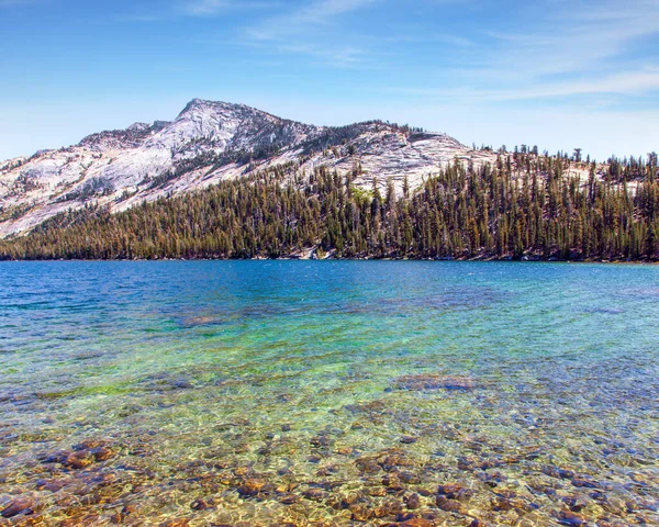 Park Yosemite Piękne Płytkie Jezioro Tenaya Czystą Wodą Wzdłuż Tioga — Zdjęcie stockowe