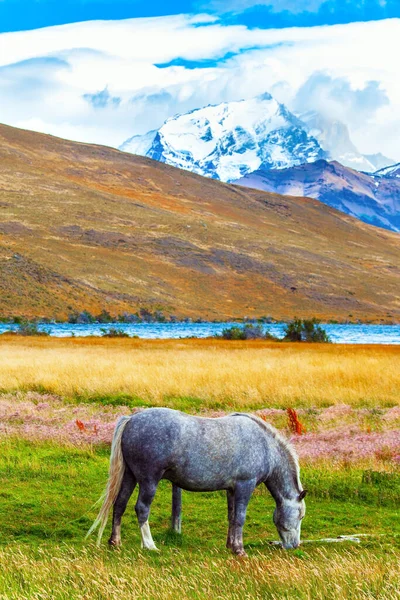 Famoso Parque Torres Del Paine Sur Chile Lagoon Azul Increíble — Foto de Stock