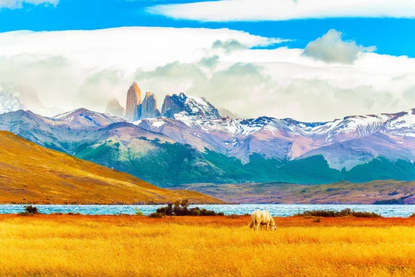 Lagoon Azul Increíble Lago Montaña Cerca Tres Rocas Torres Mustang — Foto de Stock