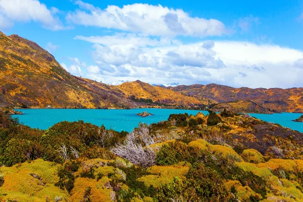 巨大的湖泊 明亮的蓝水来自融化的冰川 巴塔哥尼亚安第斯山脉的Pehoe湖 风景如画 去智利旅行 南半球寒冷多风的夏天 — 图库照片