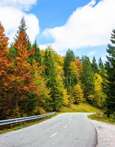 风景如画的秋天森林之间的一条漂亮的铺路 美丽的阳光明媚的秋日 迷人的牧歌 风景如画的Julian Alps 前往斯洛文尼亚的旅行 — 图库照片