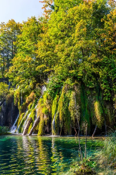克罗地亚的Plitvice湖公园 许多风景如画的瀑布沿着黏土悬崖流过 去中欧旅行 这个透明的浅湖反映了森林 — 图库照片