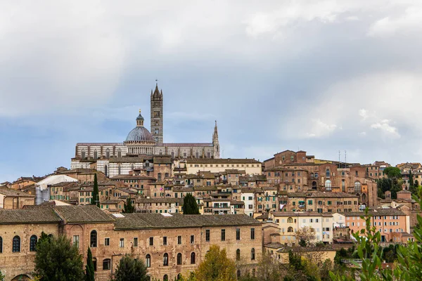 Centro Cidade Velha Siena Foi Ponto Focal Vida Artística Era — Fotografia de Stock