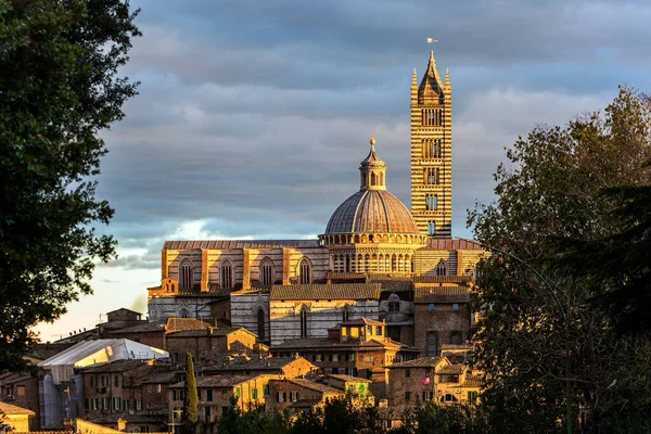 Catedral Siena Duomo Importante Monumento Artístico Histórico Gótico Italiano Pôr — Fotografia de Stock