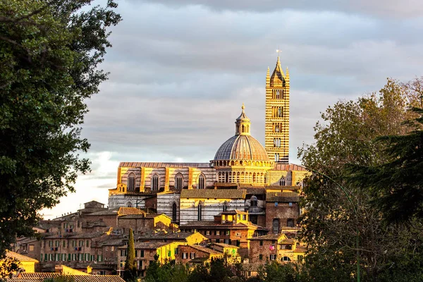 Solnedgång Sienas Katedral Duomo Viktigt Konstnärligt Och Historiskt Monument Den — Stockfoto