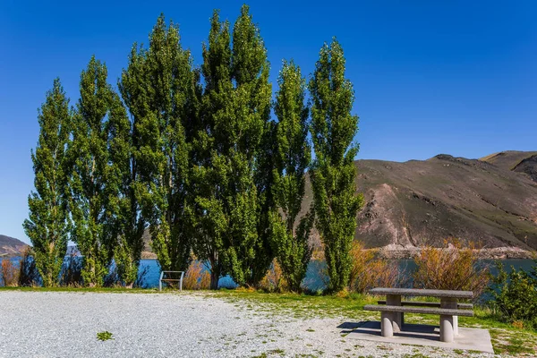 Magic New Zealand South Island Mesa Madeira Banco Piquenique Cipreste — Fotografia de Stock