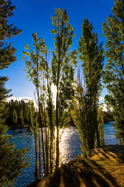 Solnedgång Skogsfloden Med Blått Kallt Vatten Matar Sjön Wanaka Sydön — Stockfoto