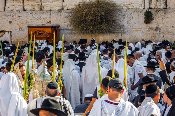 Єрусалим Євреї Молилися Обгортаючи Святковим Білим Талмитом Благословення Коханів Захоплююча Ліцензійні Стокові Зображення