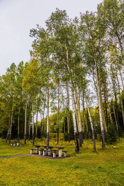 Día Nublado Las Montañas Rocosas Canadienses Lugar Picnic Mesa Madera —  Fotos de Stock