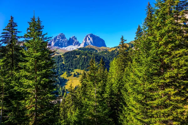 Florestas Coníferas Rochas Calcárias Dolomitas Rota Mais Bonita Das Dolomitas — Fotografia de Stock