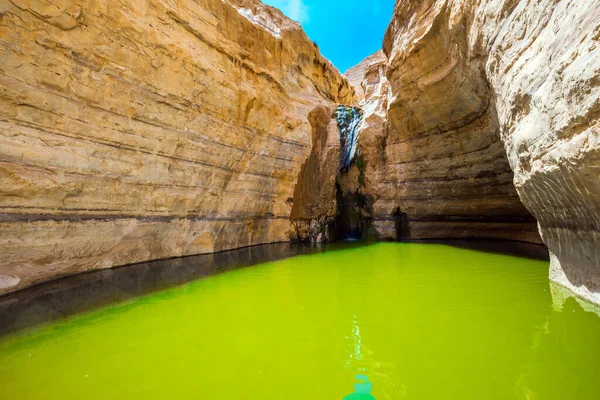 Kanion Ein Avdat Tworzy Rzeka Qing Pustyni Negev Zielonym Lustrzanym — Zdjęcie stockowe