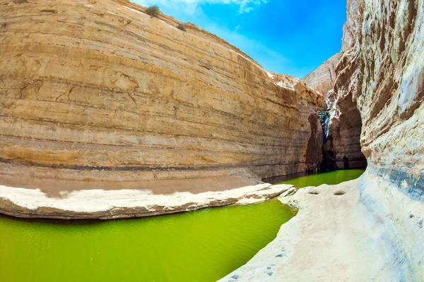 Picturesque Waterfall Middle Negev Desert Greenish Water Small Lake Gorge — Stock Photo, Image