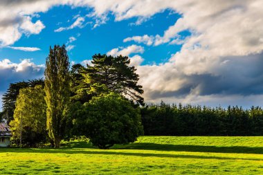 Yeşil alanlar ağaçlarla çevrilidir. Bereketli kümülüs bulutları güneş tarafından aydınlatılır. Güney Sahne Yolu. Yeni Zelanda 'nın Güney Adası. Aktif, çevresel ve fotoğraf turizmi kavramı 