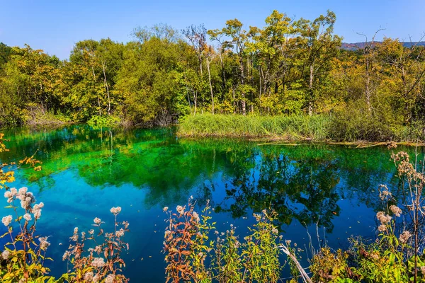 Plitvice Lakes Park Croatia Plitvice Lakes Beautiful Karst Lakes All — Stock Photo, Image