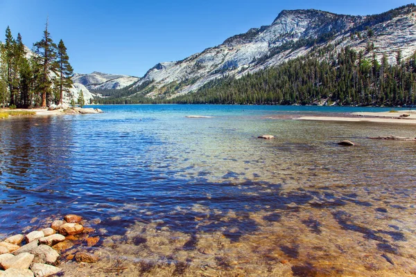 Magnifica Costa Pietra Circondano Lago Tenaya Poco Profondo Con Acqua — Foto Stock